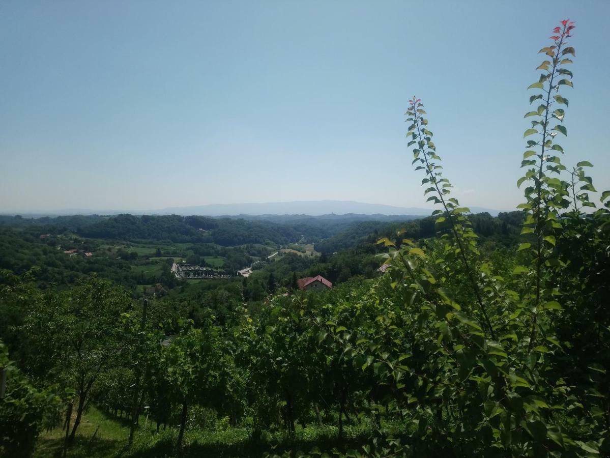 Apartman Rico Klanjec Buitenkant foto